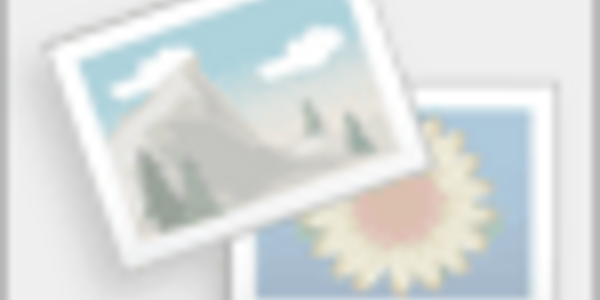 Article teaser image