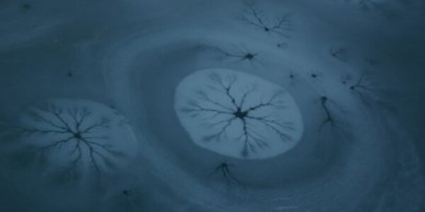 Article teaser image