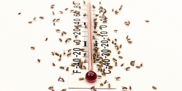 Article teaser image