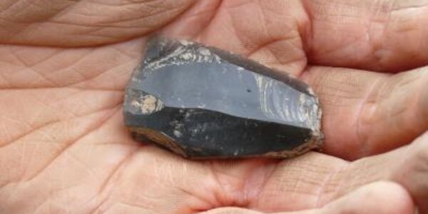 Article teaser image