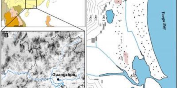 Article teaser image