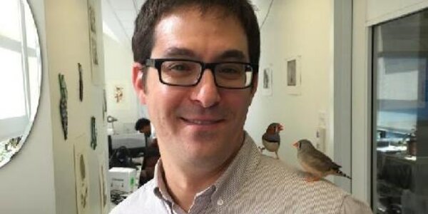 Article teaser image