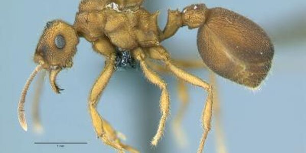 Article teaser image