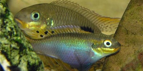 Article teaser image