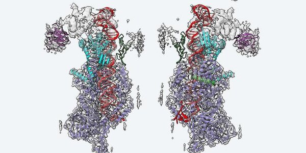 Article teaser image