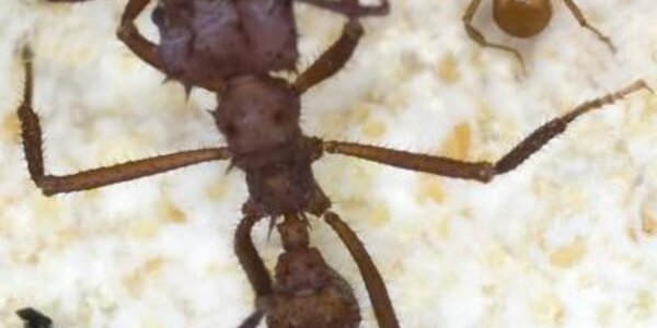 Article teaser image