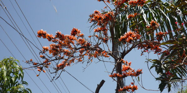 Article teaser image