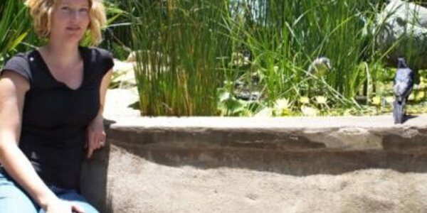 Article teaser image