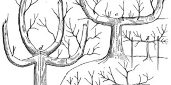 Article teaser image