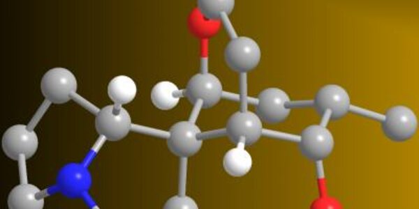 Article teaser image