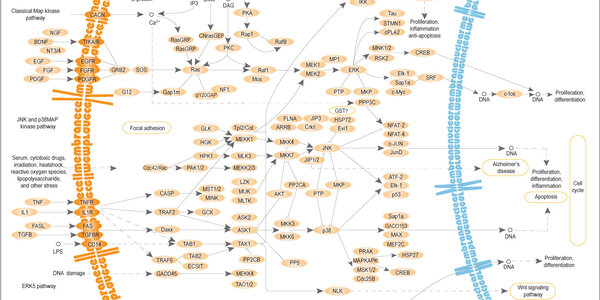 Article teaser image