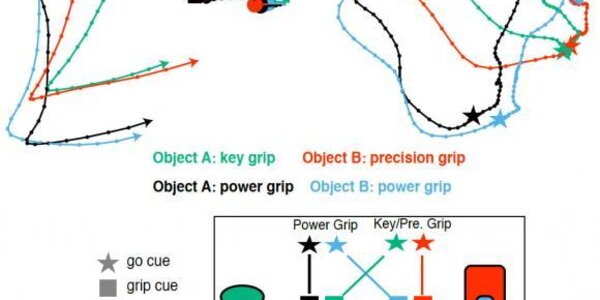 Article teaser image