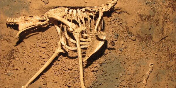 Article teaser image