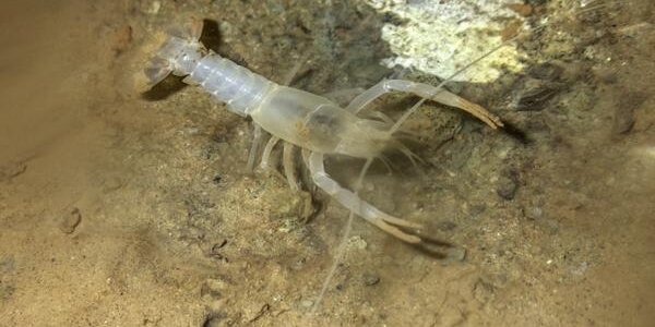 Article teaser image