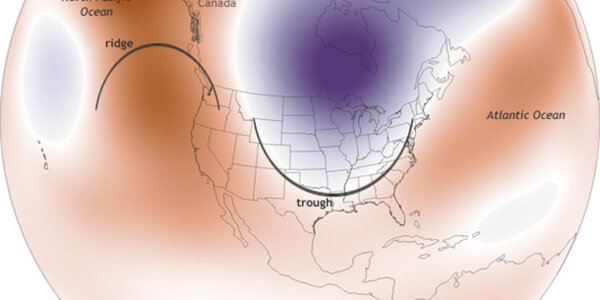 Article teaser image