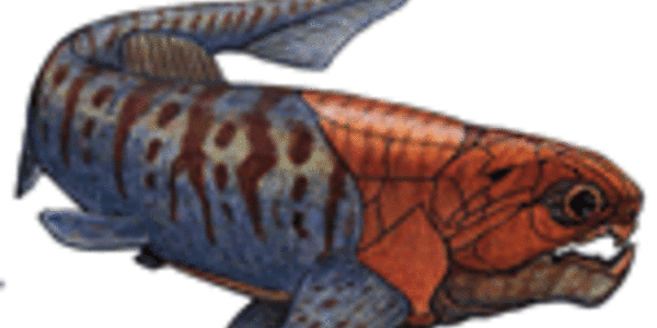 Article teaser image