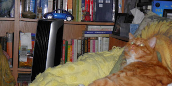 Article teaser image