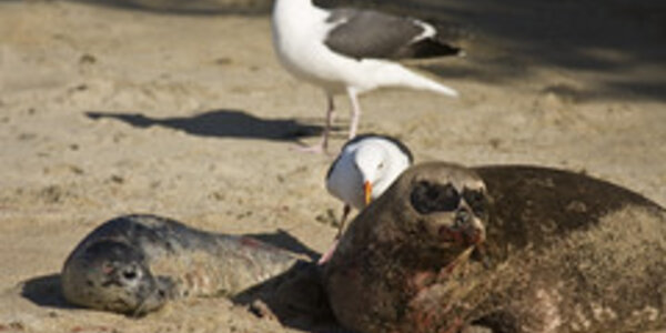 Article teaser image