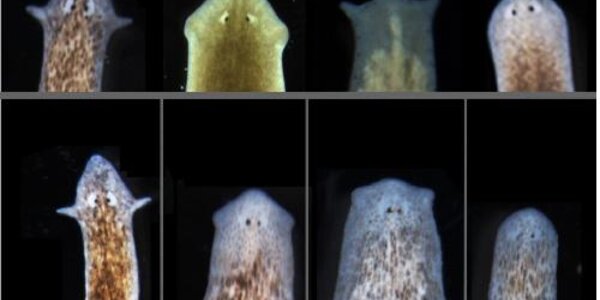 Article teaser image