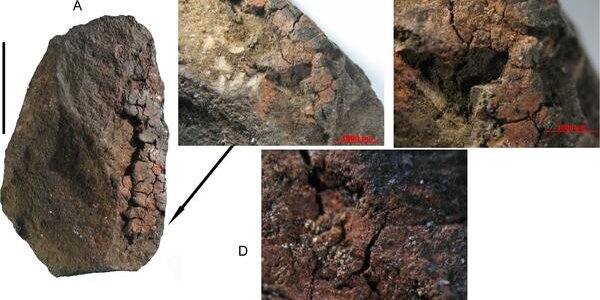 Article teaser image