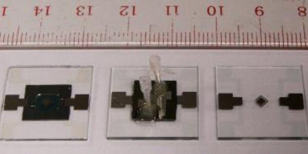 Article teaser image