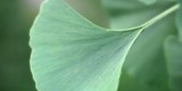 Article teaser image