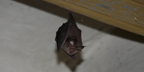 Article teaser image