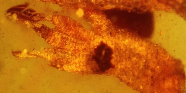 Article teaser image