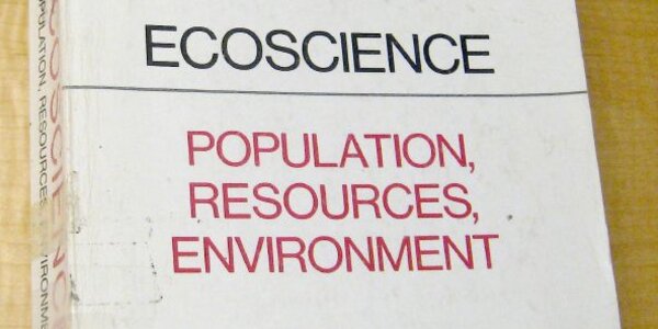 Article teaser image