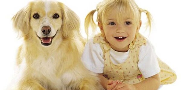 Article teaser image