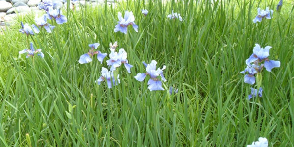 Article teaser image