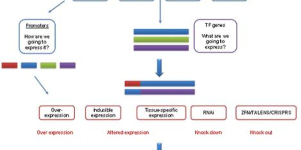 Article teaser image