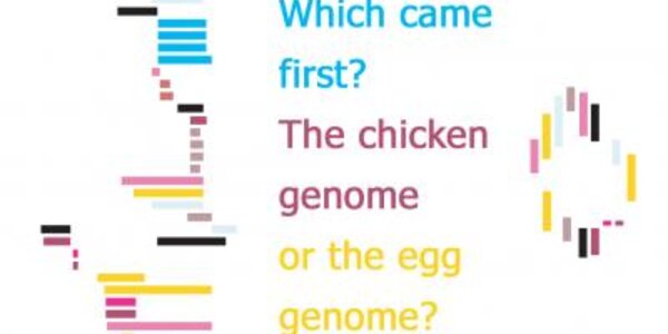 Article teaser image