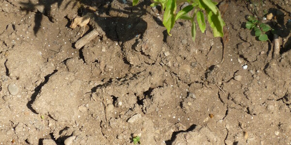 Article teaser image