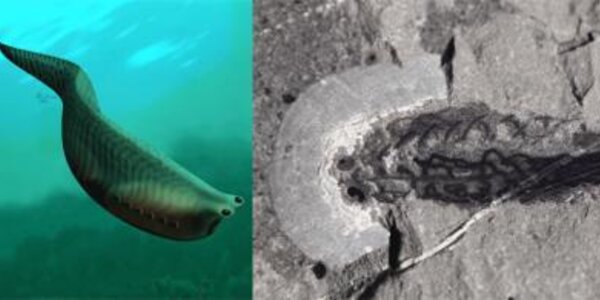 Article teaser image