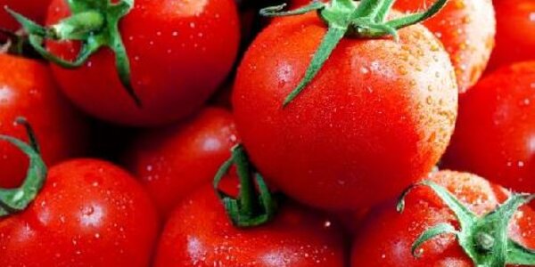 Article teaser image