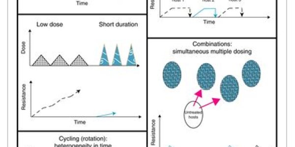 Article teaser image