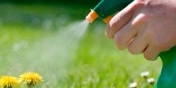 Article teaser image