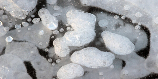 Article teaser image