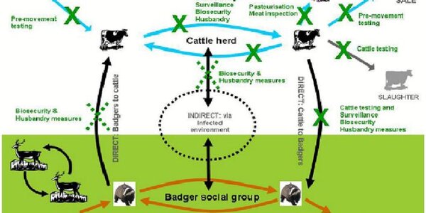 Article teaser image