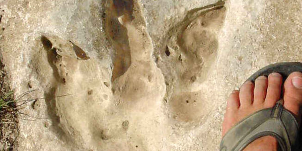 Article teaser image