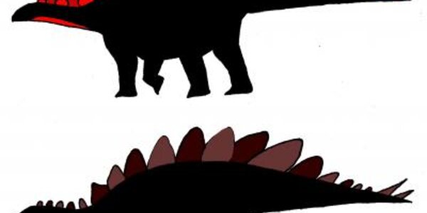 Article teaser image