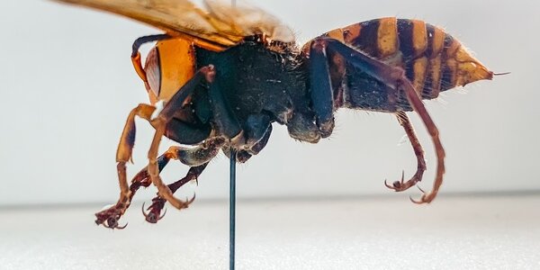 Article teaser image