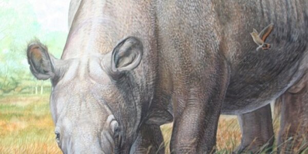 Article teaser image