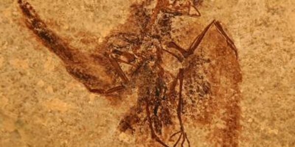 Article teaser image