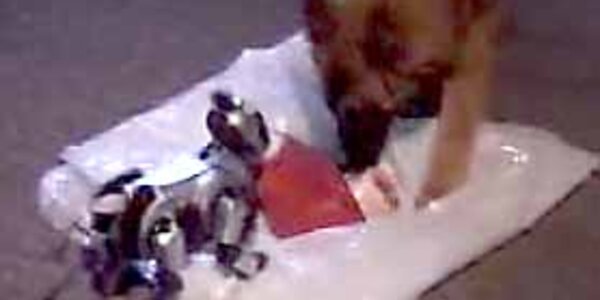 Article teaser image