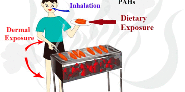 Article teaser image