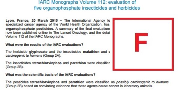 Article teaser image