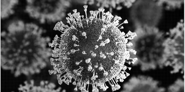 Article teaser image