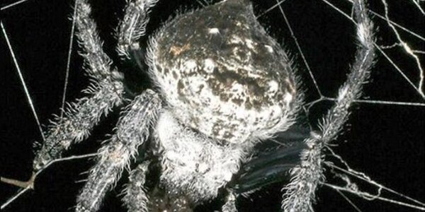 Article teaser image